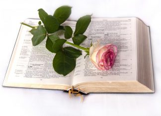 Tập Tành Sự Tin Kính Tập Tành Sự Tin Kính