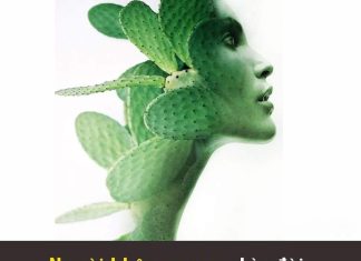 Người Khôn Ngoan Nhìn Đời Bằng Một Con Mắt, Con Mắt Kia Họ Nhìn Lại Chính Mình