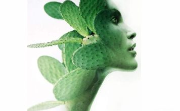 Người Khôn Ngoan Nhìn Đời Bằng Một Con Mắt, Con Mắt Kia Họ Nhìn Lại Chính Mình