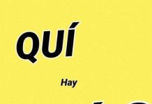 QUÍ  hay  QUÝ?